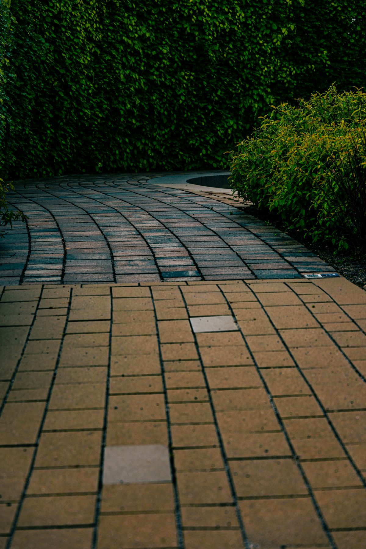 A curved brick walkway between neatly trimmed green planting beds